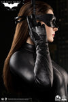 Catwoman (Selina Kyle) - LIMITED EDITION: 399 - ActionFigure Brasil