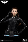 Catwoman (Selina Kyle) - LIMITED EDITION: 399 - ActionFigure Brasil