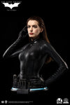 Catwoman (Selina Kyle) - LIMITED EDITION: 399