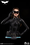 Catwoman (Selina Kyle) - LIMITED EDITION: 399 - ActionFigure Brasil