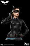 Catwoman (Selina Kyle) - LIMITED EDITION: 399 - ActionFigure Brasil