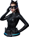 Catwoman (Selina Kyle) - LIMITED EDITION: 399