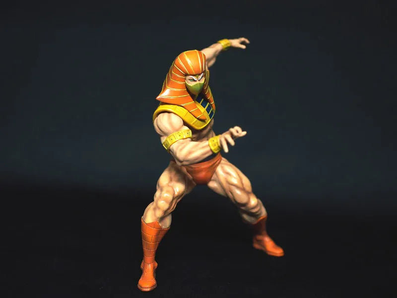 CCP Muscular Collection Vol. 5 