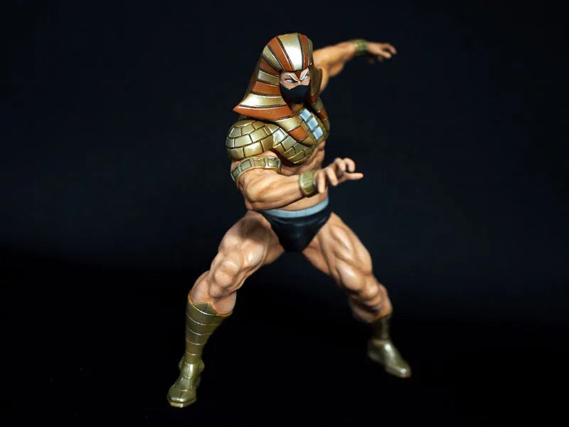 CCP Muscular Collection Vol. 6 