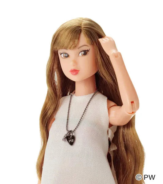 CCS 21SP momoko long Complete Dollㅤ – PetWORKs – ActionFigureBrasil