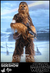 Chewbacca [HOT TOYS]