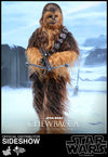 Chewbacca [HOT TOYS]