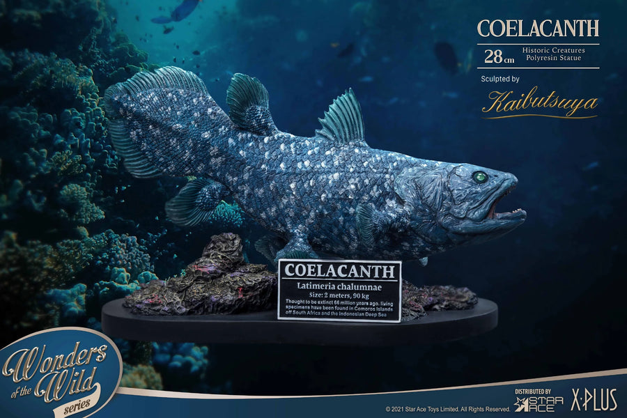Coelacanth – Star Ace Toys Ltd. – ActionFigure Brasil