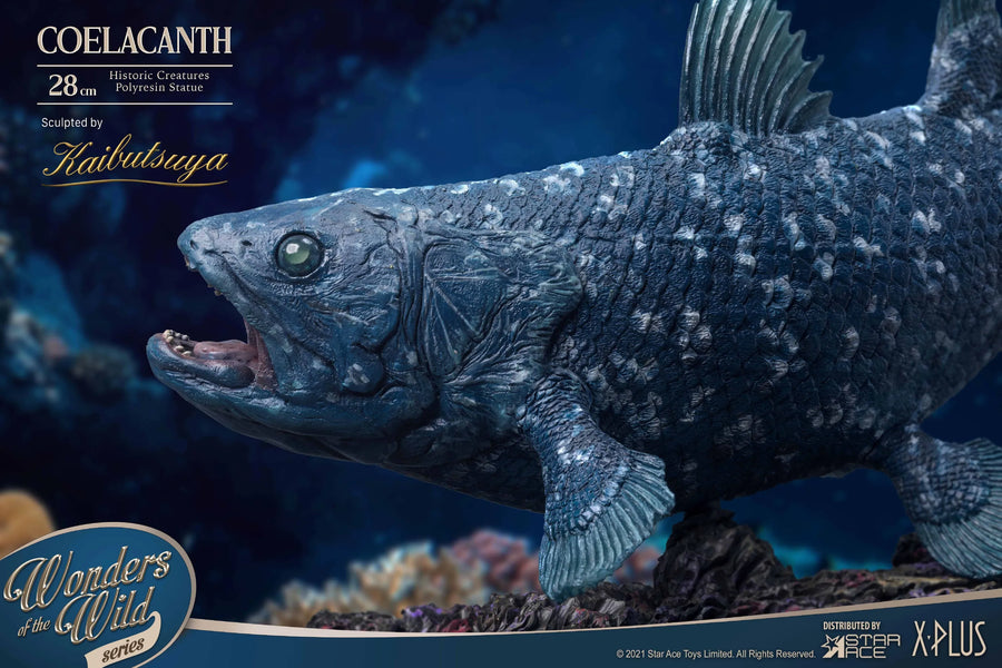 Coelacanth – Star Ace Toys Ltd. – ActionFigure Brasil