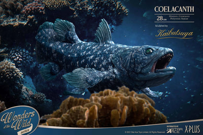 Coelacanth – Star Ace Toys Ltd. – ActionFigure Brasil — embalagem