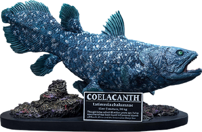 Coelacanth – Star Ace Toys Ltd. – ActionFigure Brasil — acessórios