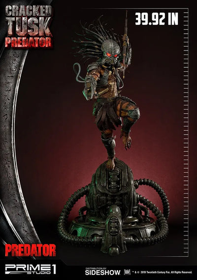 Cracked Tusk Predator - LIMITED EDITION: 300 (Exclusive) – Prime 1 Studio – ActionFigure Brasil — acessórios
