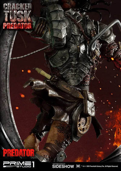 Cracked Tusk Predator - LIMITED EDITION: 300 (Exclusive) – Prime 1 Studio – ActionFigure Brasil — ambientada