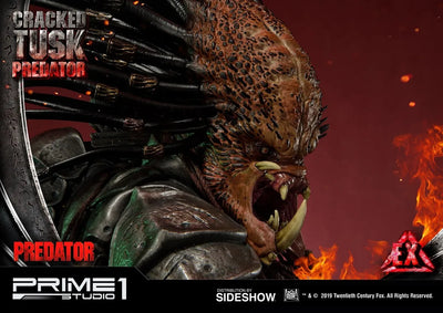 Cracked Tusk Predator - LIMITED EDITION: 300 (Exclusive) – Prime 1 Studio – ActionFigure Brasil — iluminação de estúdio
