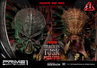 Cracked Tusk Predator - LIMITED EDITION: 300 (Exclusive) – Prime 1 Studio – ActionFigure Brasil — ambientada