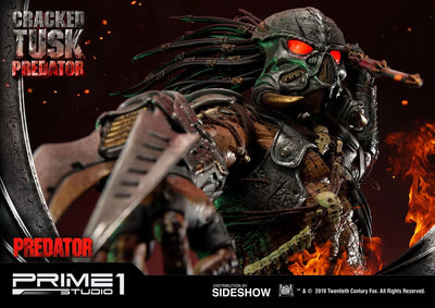 Cracked Tusk Predator - LIMITED EDITION: 300 (Exclusive) – Prime 1 Studio – ActionFigure Brasil — com base expositora