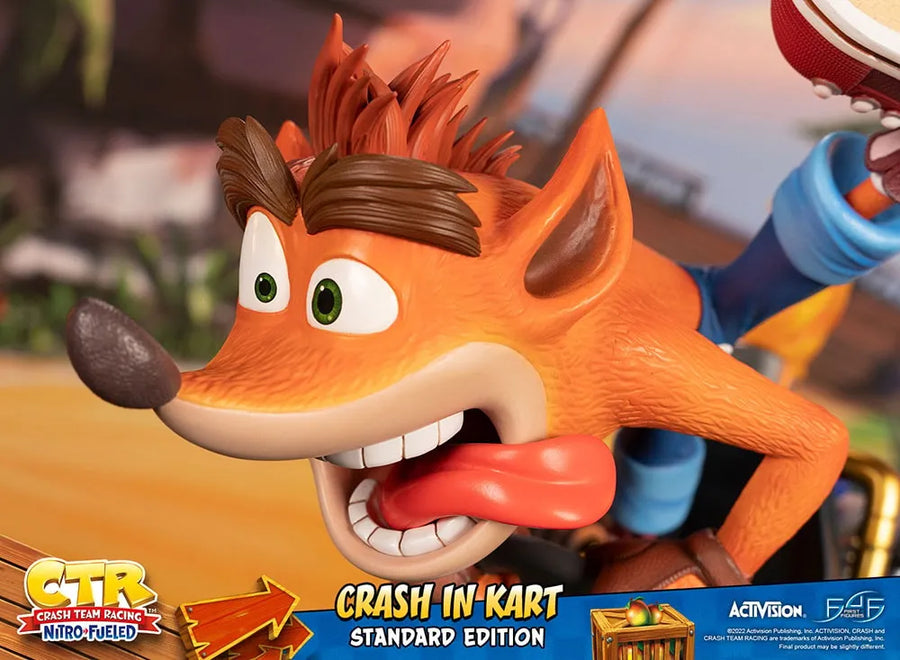 Crash in Kart - LIMITED EDITION: 500 – First 4 Figures – ActionFigure Brasil