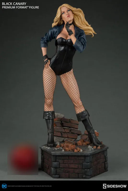 DC Comics - Premium Format Figure: Black Canaryㅤ – Sideshow Collectibles – ActionFigure Brasil