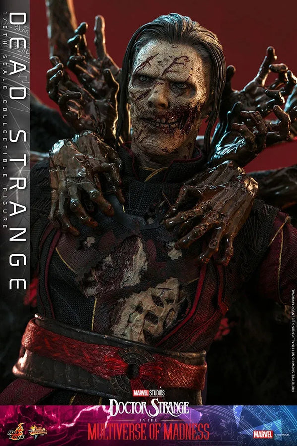 Doctor Strange in the Multiverse of Madness - Zombie Strange - 1/6 - Movie Masterpiece (Hot Toys)ㅤ – Hot Toys – ActionFigure Brasil