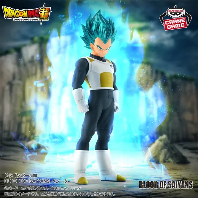 Dragon Ball Super - Vegeta SSGSS - Blood of Saiyans (Bandai Spirits)ㅤ – Bandai Spirits – ActionFigureBrasil