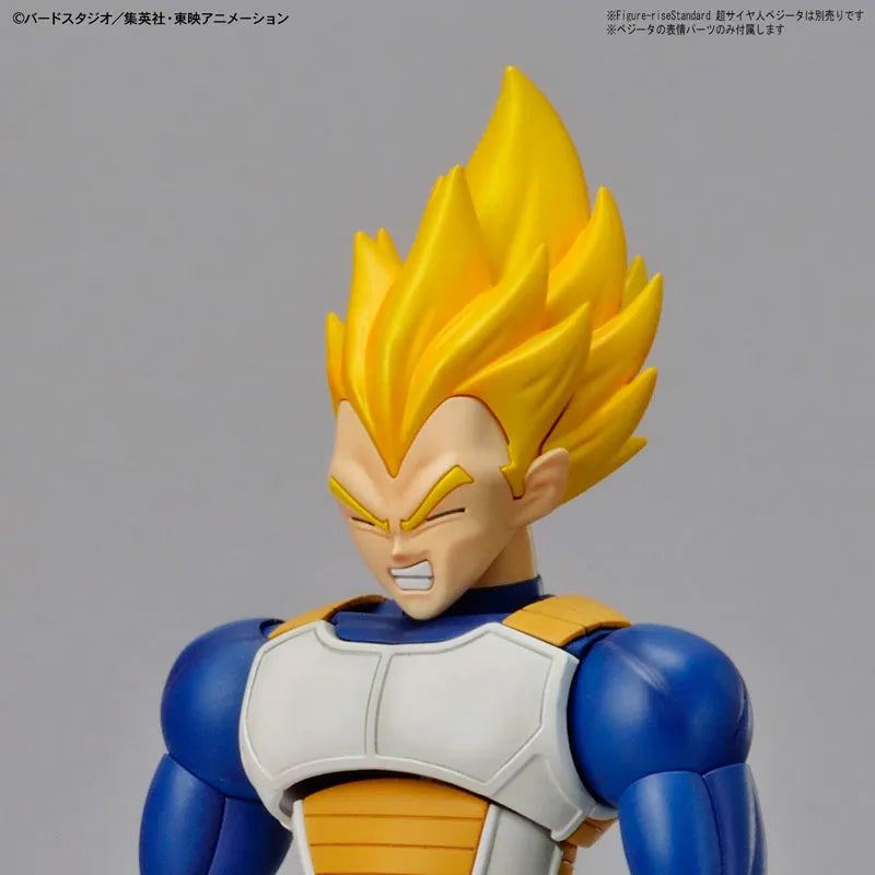 Dragon Ball Z : Moetsukiro!! Nessen Ressen Chou-Gekisen - Broly SSJ - Figure-rise Standard (Bandai, Bandai Spirits)ㅤ – Bandai Spirits – ActionFigureBrasil