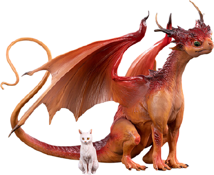 Dragon & Cat – Manas SUM – ActionFigure Brasil