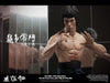 ENTER THE DRAGON – BRUCE LEE (DX04)