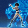 Saint Seiya - Pegasus Seiya - Saint Shouuchuu Retsuden (Bandai Spirits)ㅤ