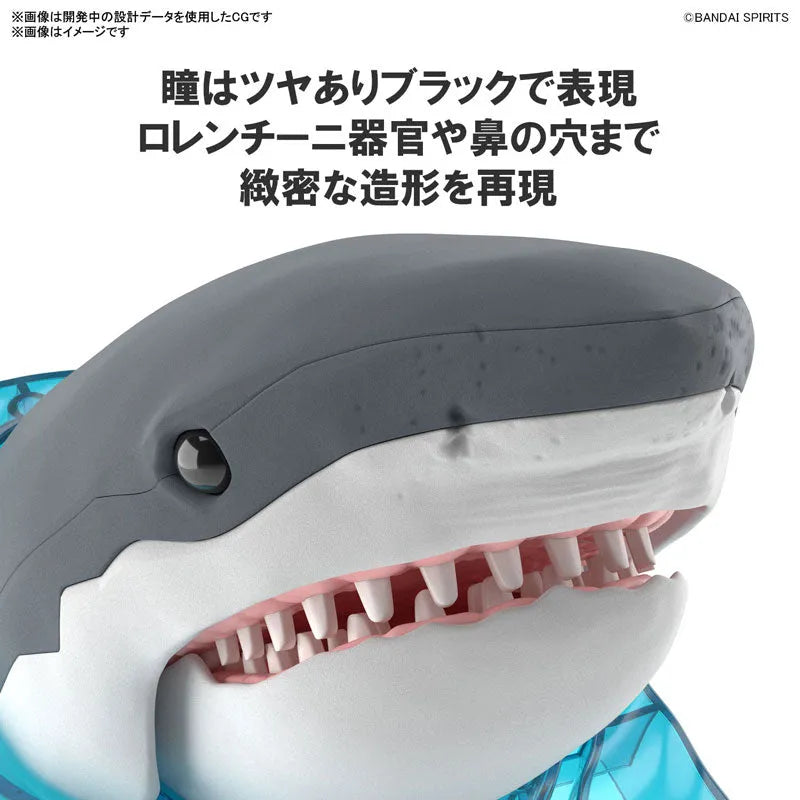 Exploring Lab Nature Great White Shark Plastic Modelㅤ – Bandai Spirits – ActionFigureBrasil