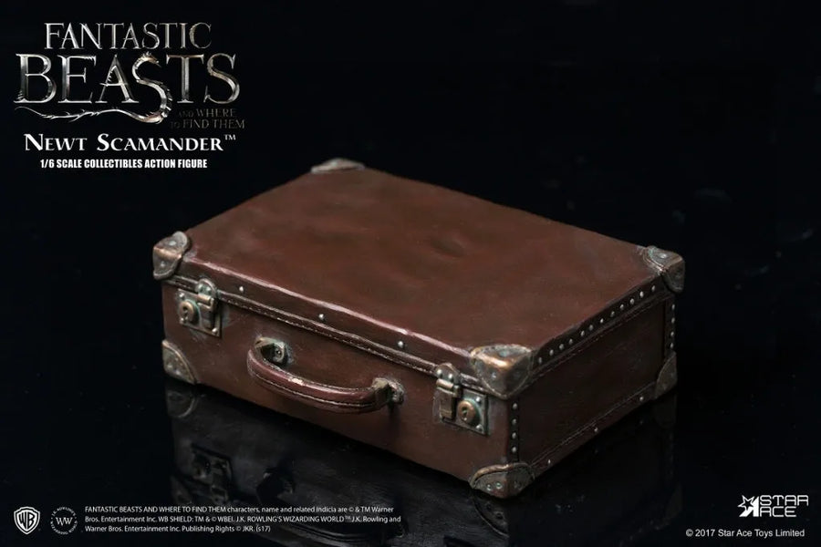 Fantastic Beasts and Where to Find Them - 1/6 - Newt Scamander - Collectible Action Figureㅤ – Star Ace Toys – ActionFigure Brasil
