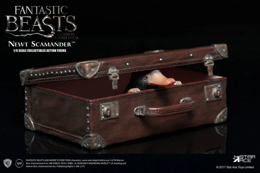 Fantastic Beasts and Where to Find Them - 1/6 - Newt Scamander - Collectible Action Figureㅤ – Star Ace Toys – ActionFigure Brasil