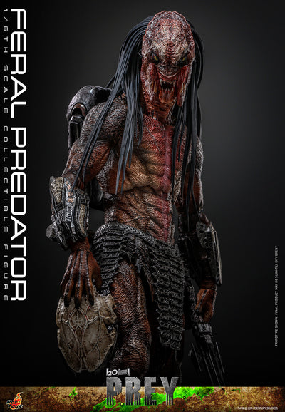 Feral Predator [Pronta Entrega]