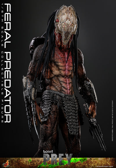 Feral Predator [Pronta Entrega]