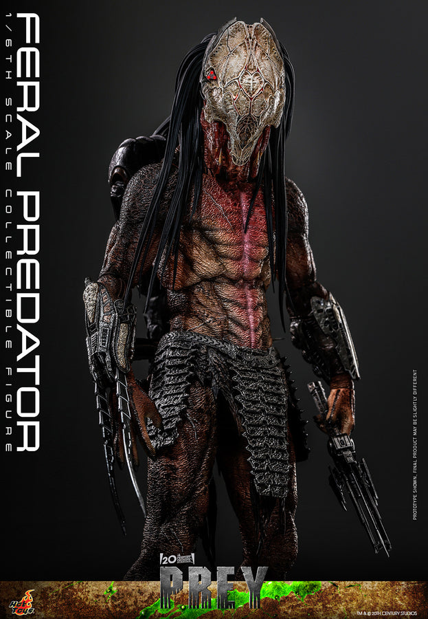 Feral Predator [Pronta Entrega]