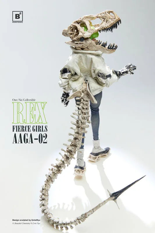 Fierce Girls Series - BONEGIRL - Gunner AAGA-02 - Rex - 1/6 (Beautiful Chemistry)ㅤ – Beautiful Chemistry – ActionFigureBrasil