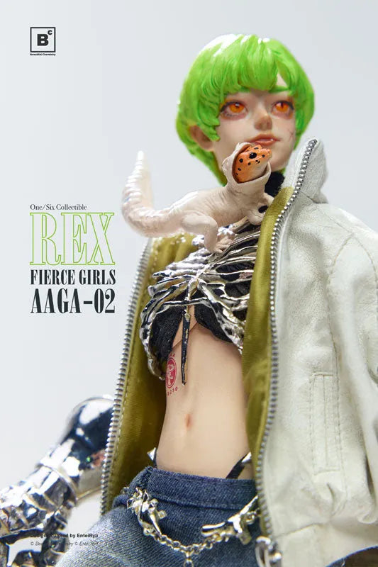 Fierce Girls Series - BONEGIRL - Gunner AAGA-02 - Rex - 1/6 (Beautiful Chemistry)ㅤ – Beautiful Chemistry – ActionFigureBrasil