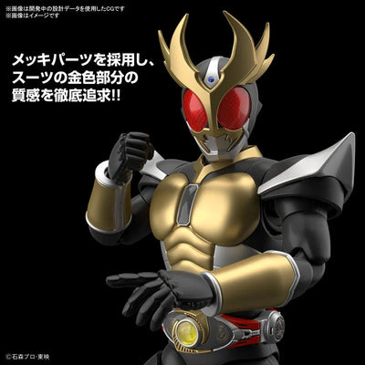 Figure-rise Standard Kamen Rider Agito Grand Form Plastic Modelㅤ – Bandai Spirits – ActionFigure Brasil — acessórios