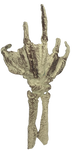 Fossilized Creature Hand