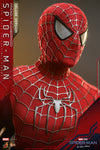 Friendly Neighborhood Spider-Man (Collector Edition) [HOT TOYS]