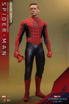 Friendly Neighborhood Spider-Man (Collector Edition) (Mms661)