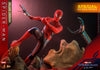 Friendly Neighborhood Spider-Man (Collector Edition) (Mms661)