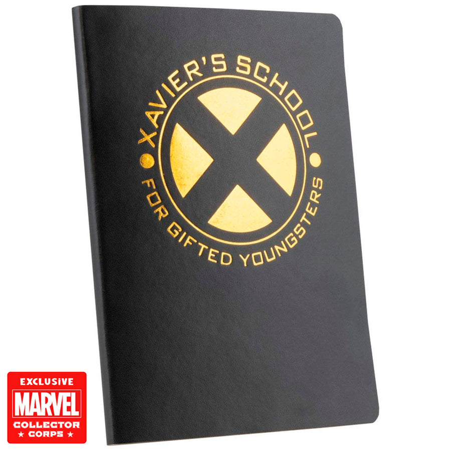 FUNKO BOX MARVEL COLLECTOR CORPS - X-MEN THEME 36212