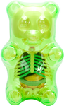 Funny Anatomy Gummi Bear (Clear Green)