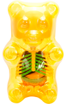 Funny Anatomy Gummi Bear (Clear Yellow)