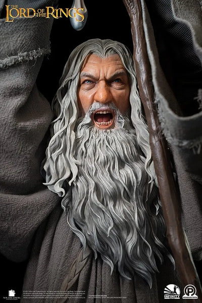 Gandalf the Grey (Premium Edition) - LIMITED EDITION: 250 (Premium Edition) – Infinity Studio X Penguin Toys – ActionFigure Brasil — detalhe do produto