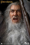 Gandalf the Grey (Ultimate Edition) - LIMITED EDITION: 250 (Ultimate Edition) - ActionFigure Brasil