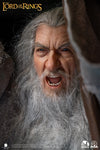 Gandalf the Grey (Ultimate Edition) - LIMITED EDITION: 250 (Ultimate Edition) - ActionFigure Brasil