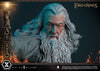 Gandalf the Grey - LIMITED EDITION: 150