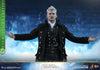 Gellert Grindelwald (Collector Edition) [HOT TOYS] (Expresso)