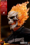 Ghost Rider (Exclusive) (Tms005)